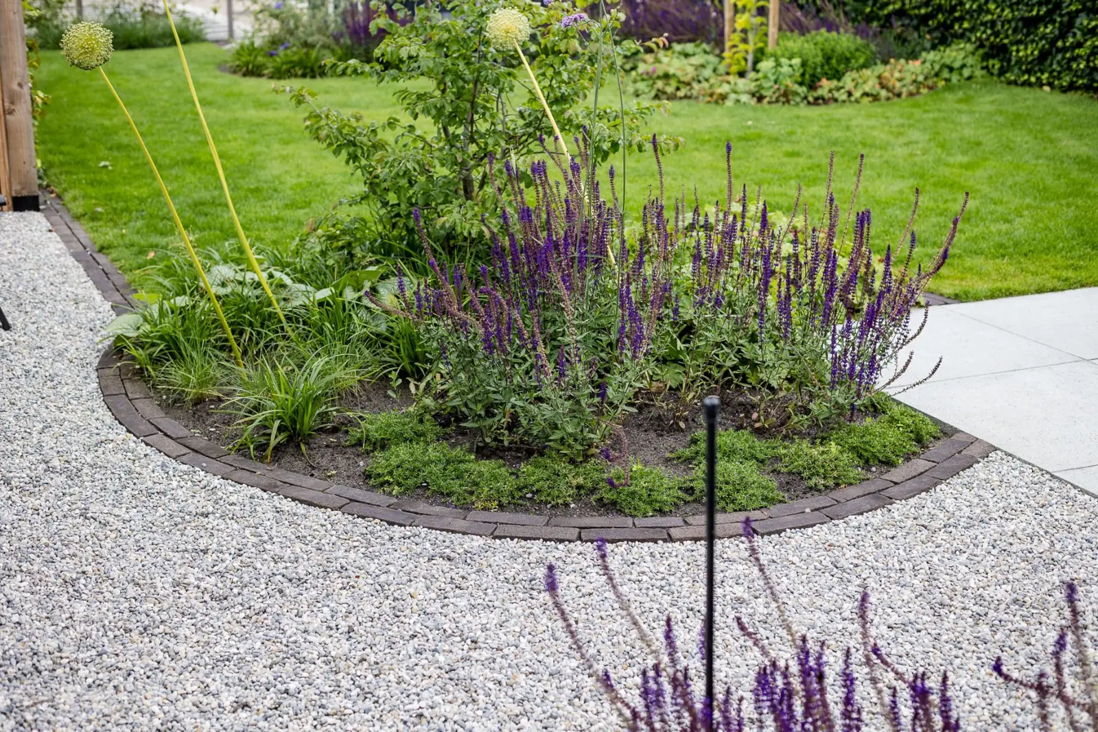 Ronde border met salie, sierui en bodembedekkers in een rand van gebakken klinkers