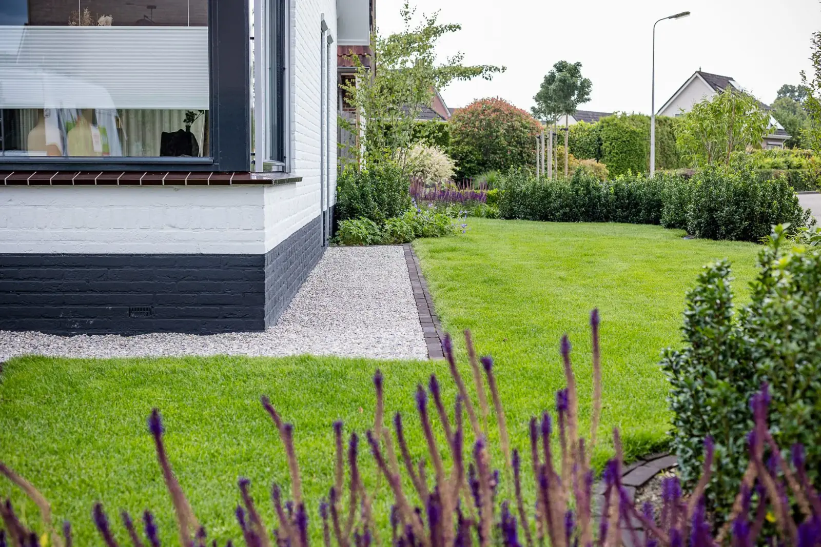 Gazon met een grindstrook langs de gevel en borders met hulst en salie