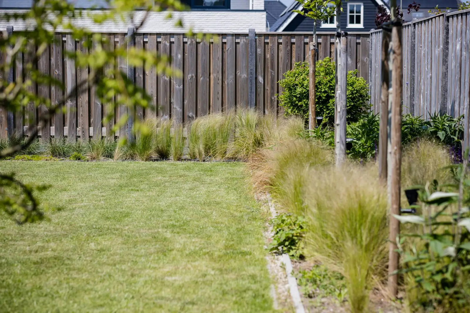 Gazon met een border van vedergras en heesters voor een houten schutting in Almere