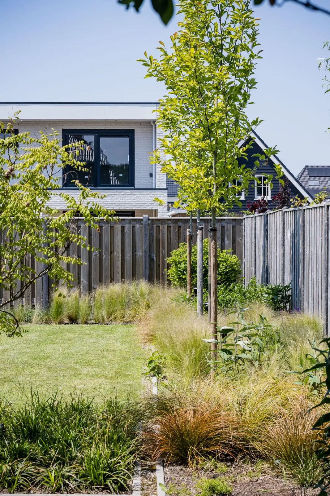 Border met siergrassen en een jonge boom voor de schutting in Almere