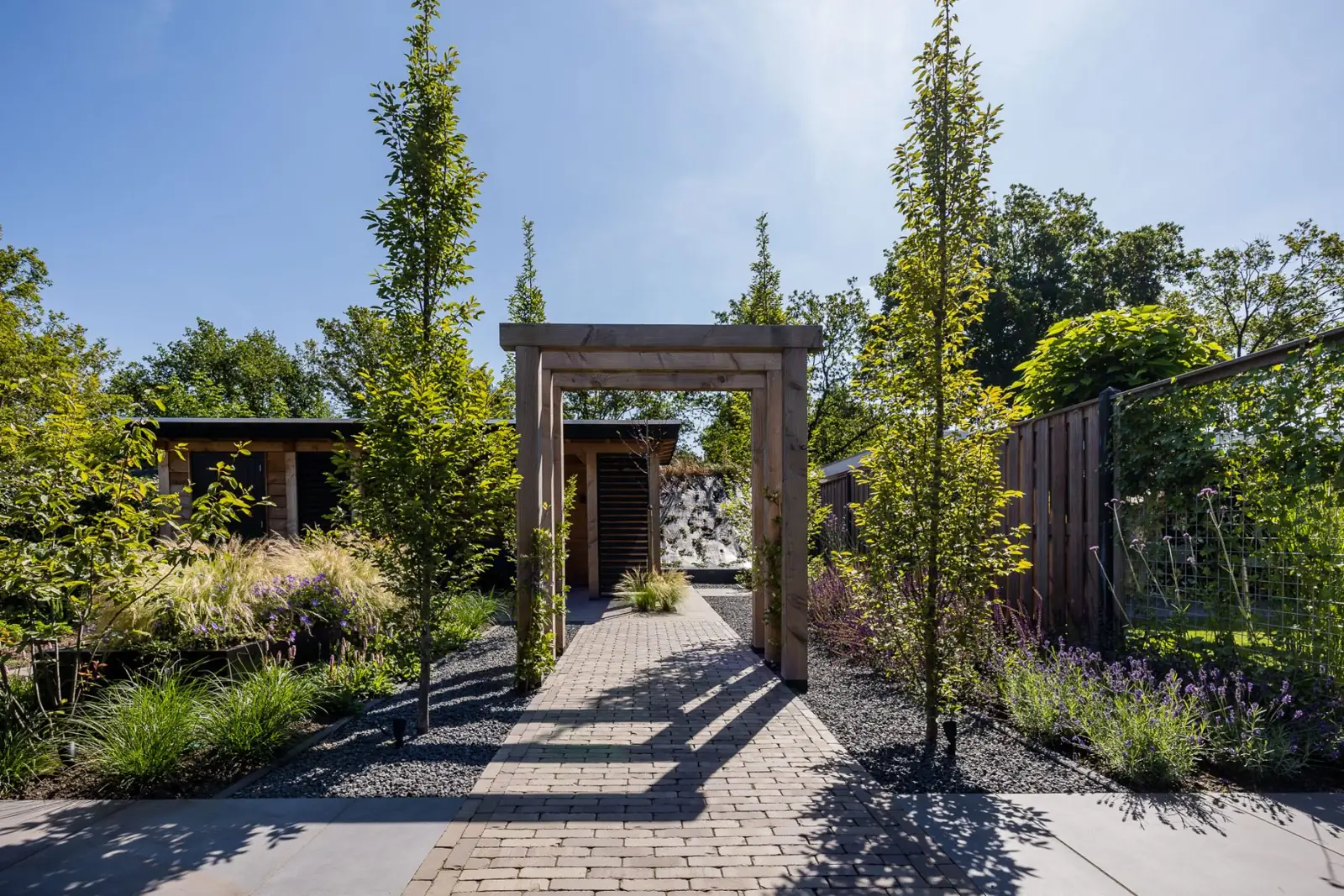 Klinkerpad door de pergola naar de overkapping, met lavendel en salie in Dalfsen
