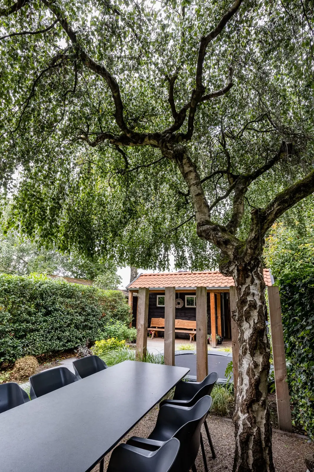 Treurberk boven de eettafel met de houten overkapping op de achtergrond in Zwolle