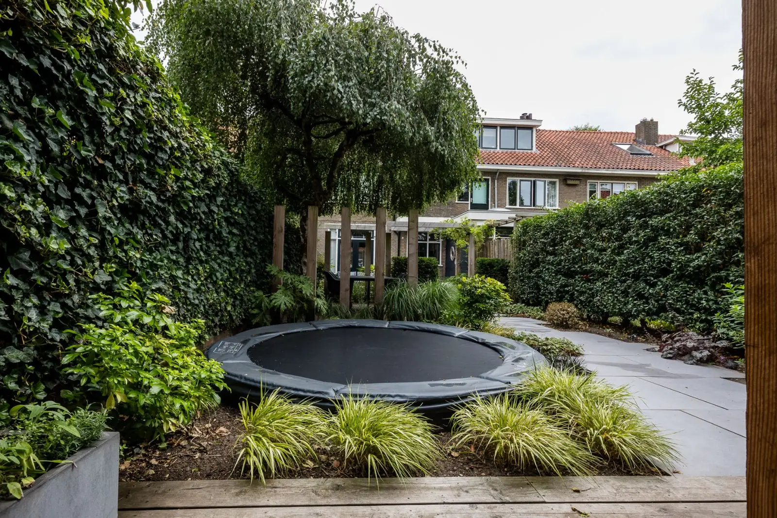 Stadstuin in Zwolle met ingegraven trampoline, klimopwand en hagen richting de achtergevel