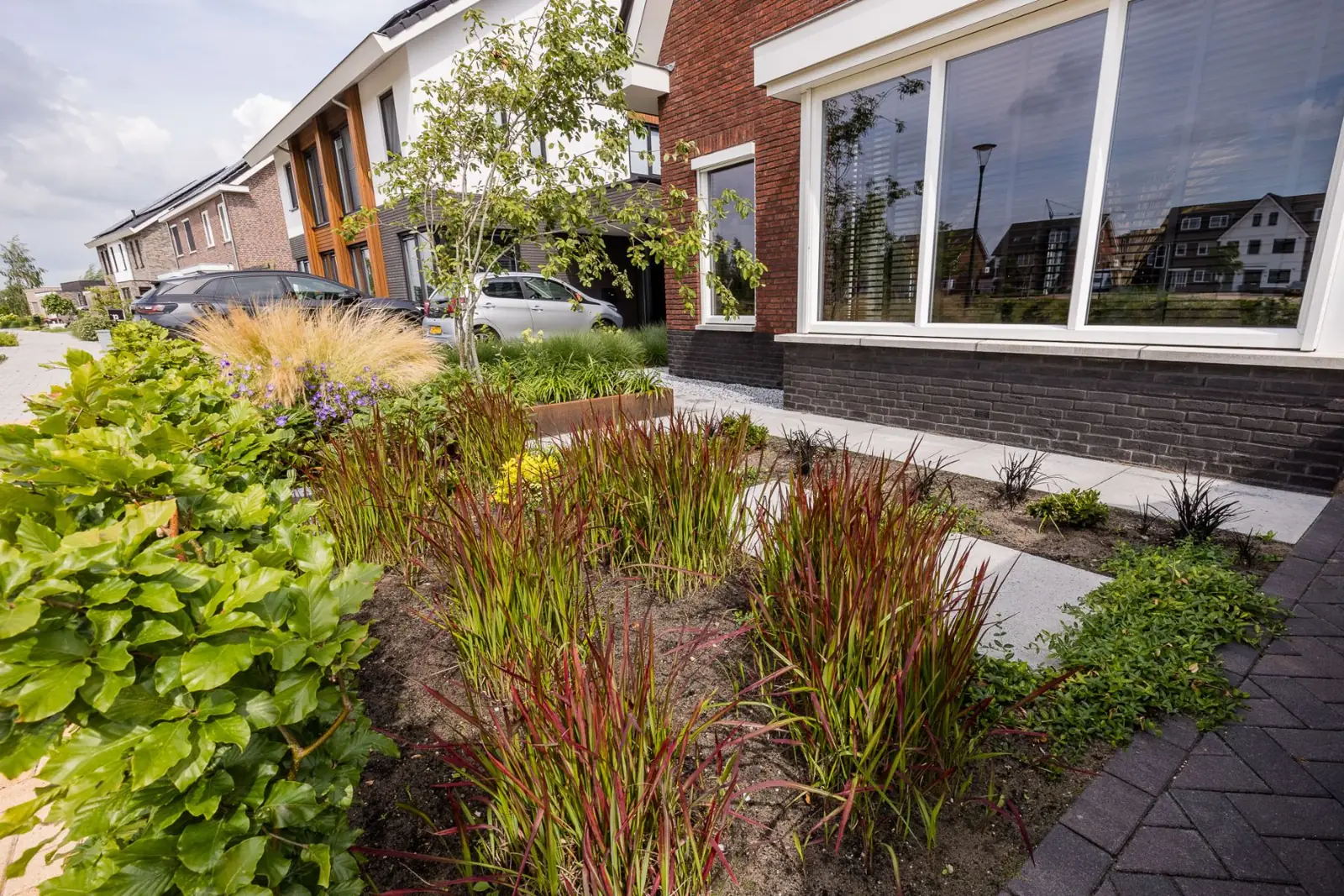 Voortuin met Japans bloedgras, siergrassen en een cortenstalen plantenbak in Lemelerveld