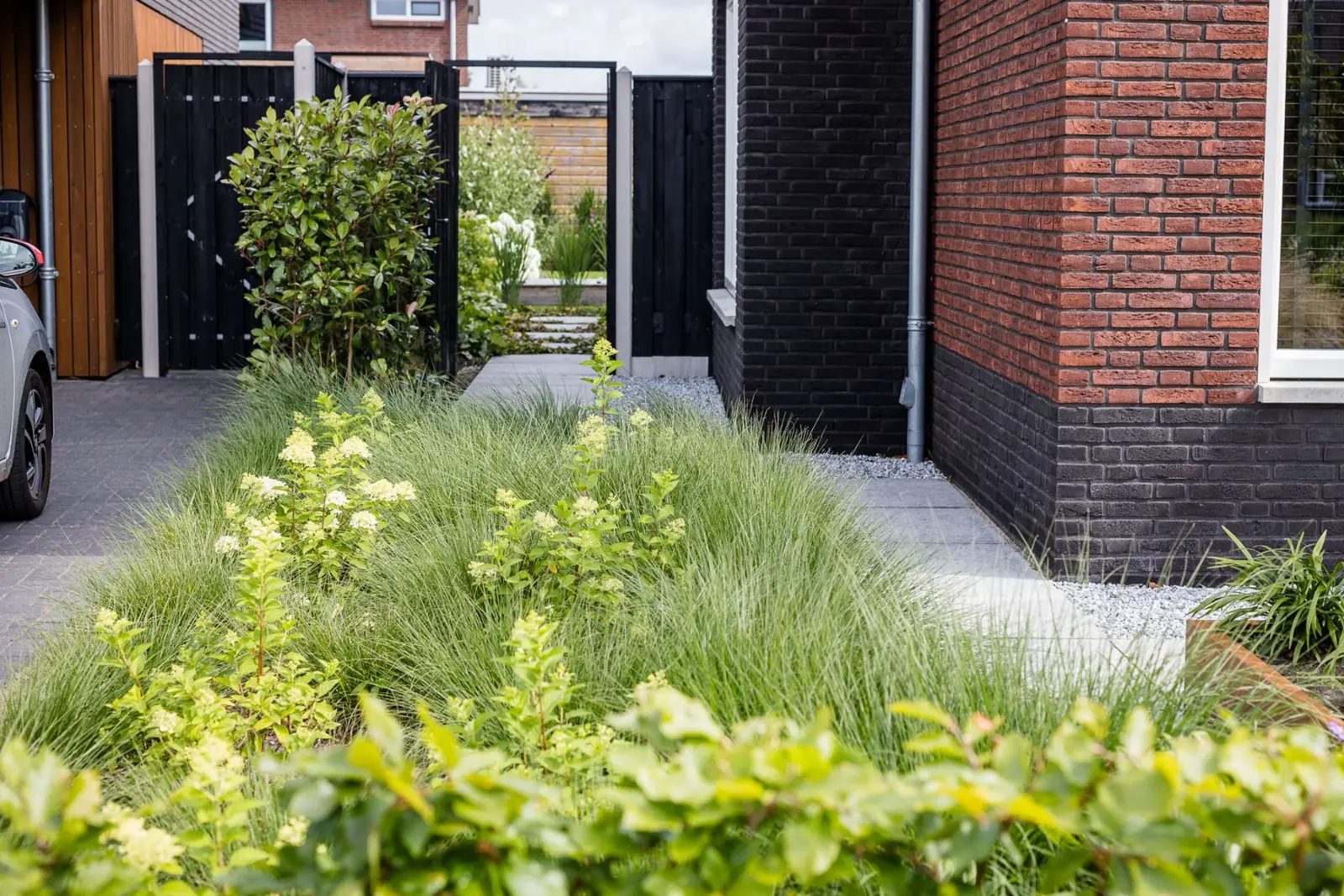 Voortuin in Lemelerveld met siergrassen, pluimhortensia en het pad naar de tuinpoort naast de oprit