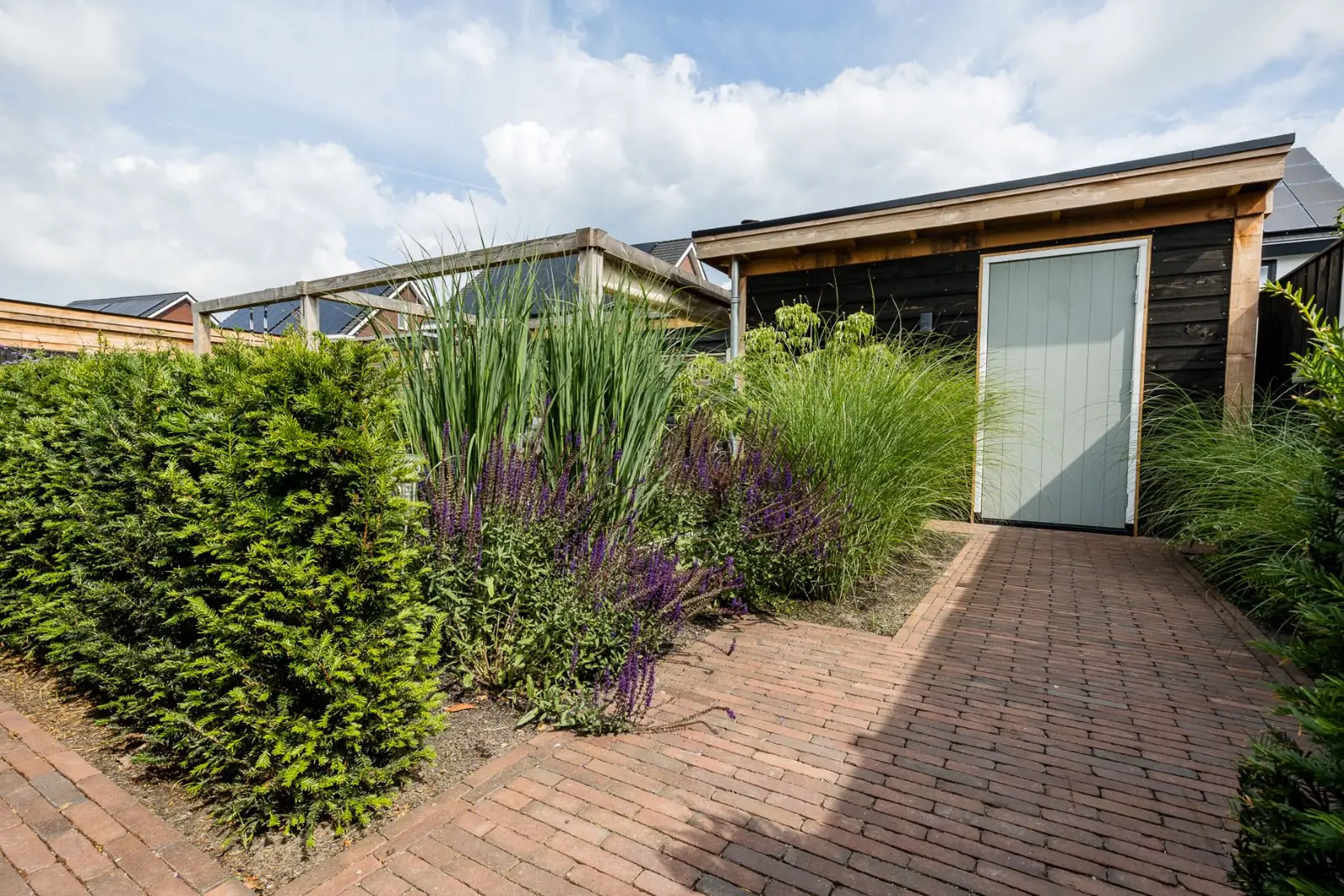 Houten berging met klinkerpad, siergrassen en salie in een tuin in Lemelerveld