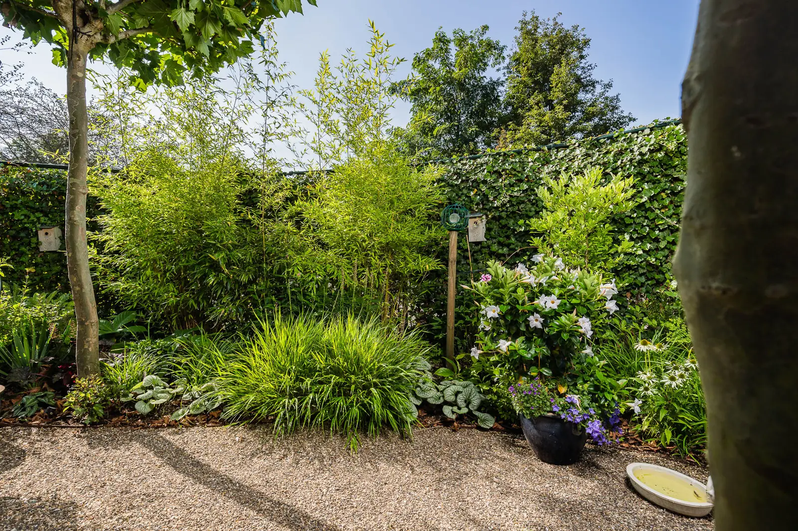 Border met bamboe, vaste planten en een vogelbad in een tuin in Hardenberg