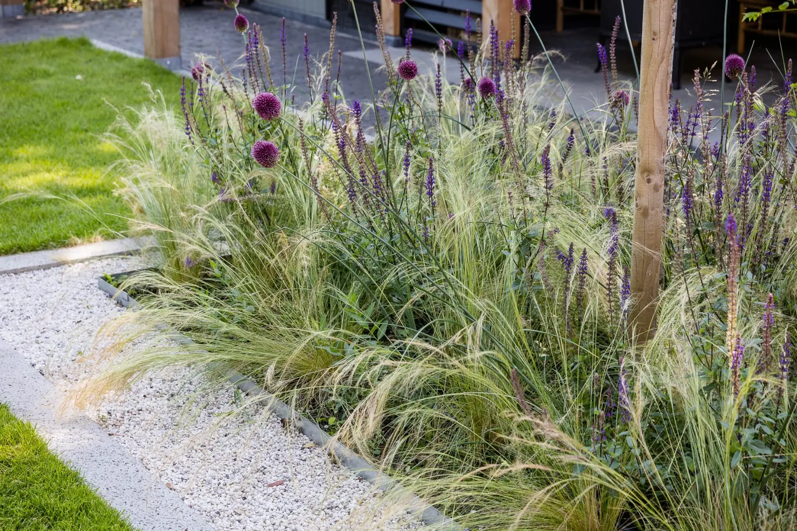 Border vedergras allium salvia in een tuin in Hardenberg