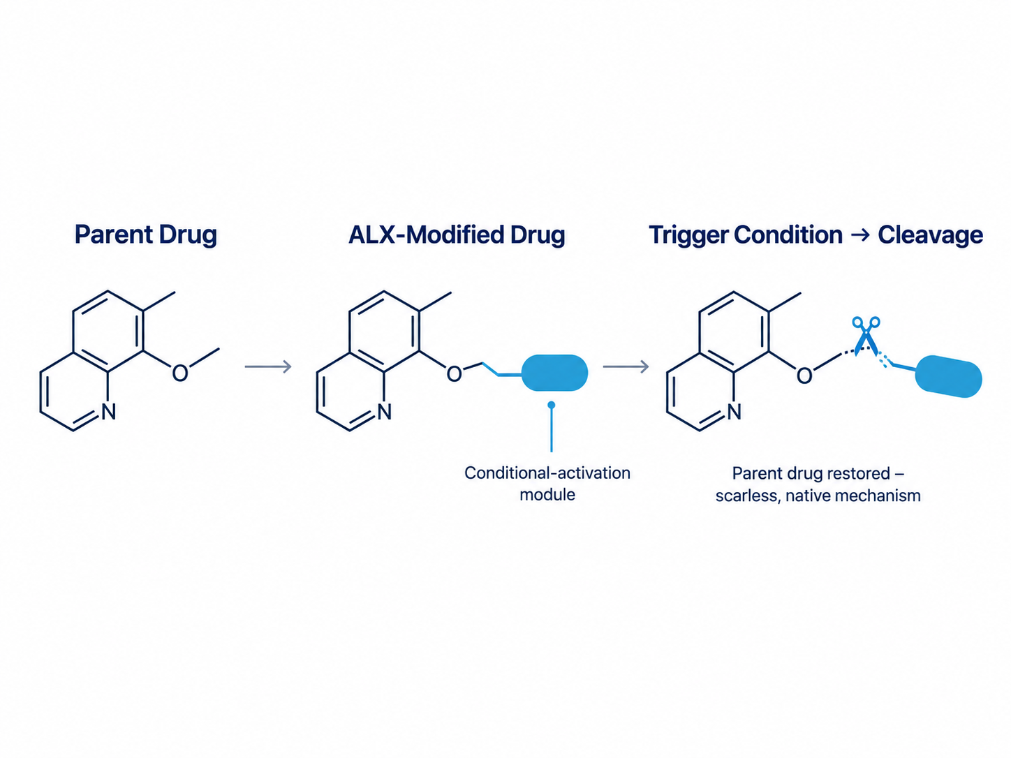 Diagram showing three stages of a drug modification process: Parent Drug with molecular structure, ALX-Modified Drug with added conditional-activation module, and Trigger Condition leading to cleavage indicated by scissors, restoring the parent drug with a scarless, native mechanism.