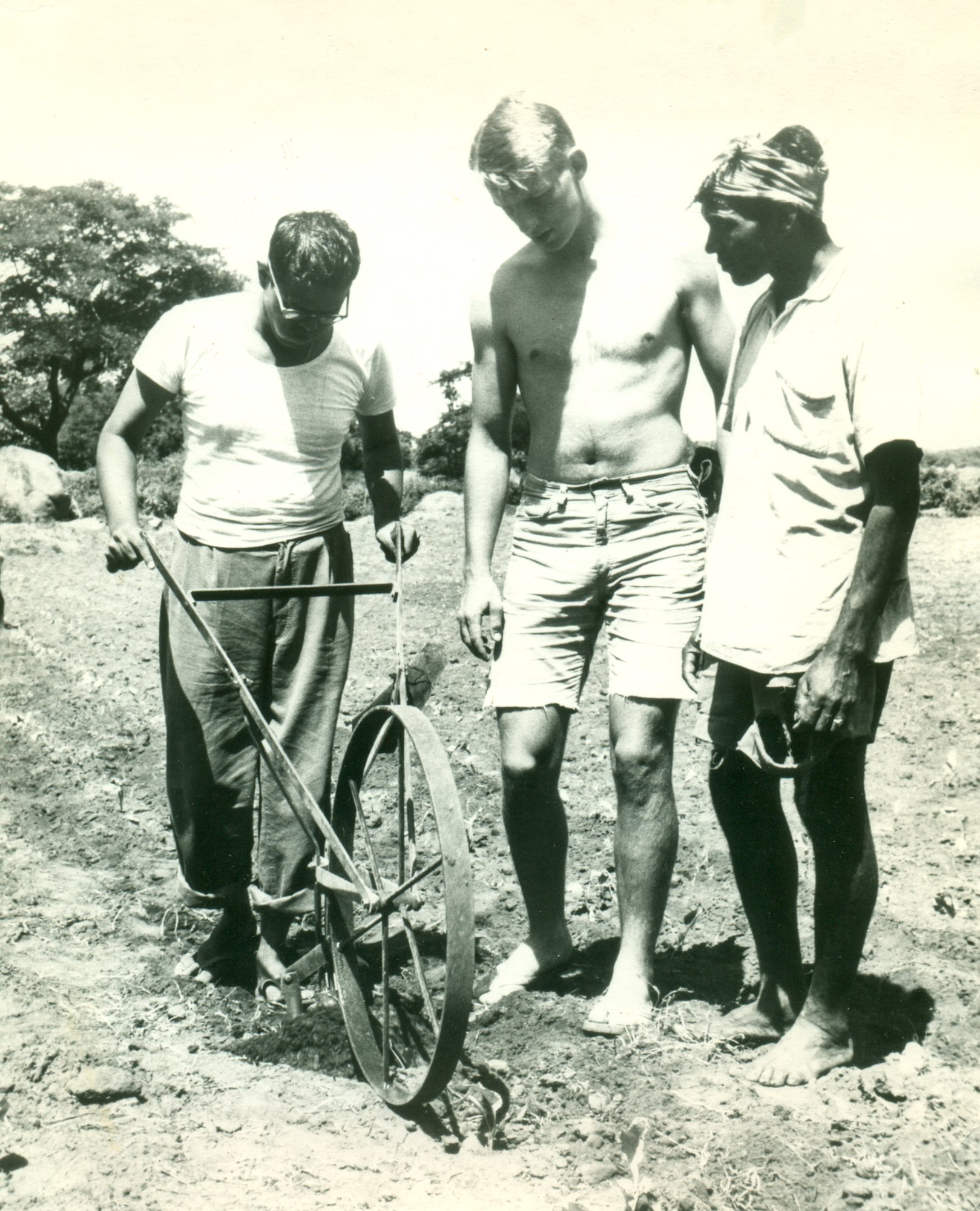 Illinois students at work with an Indian farmer during the Y's "Illini in India" work camp, summer 1966.