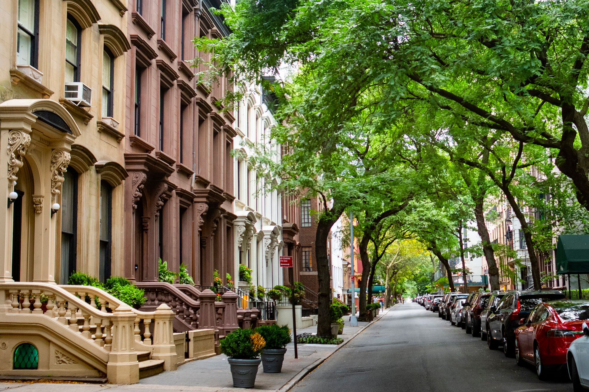 Tree-lined street of brownstone row houses with stoops
