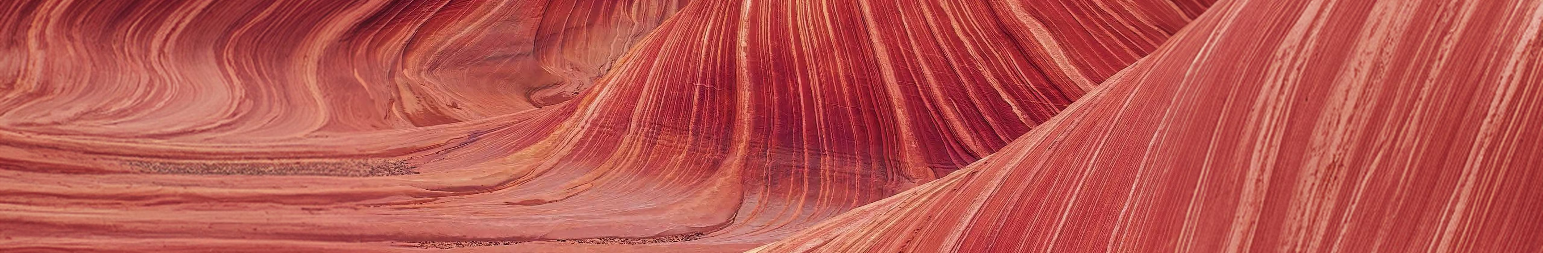 Rippled orange sand dunes above weathered, swirling driftwood grain
