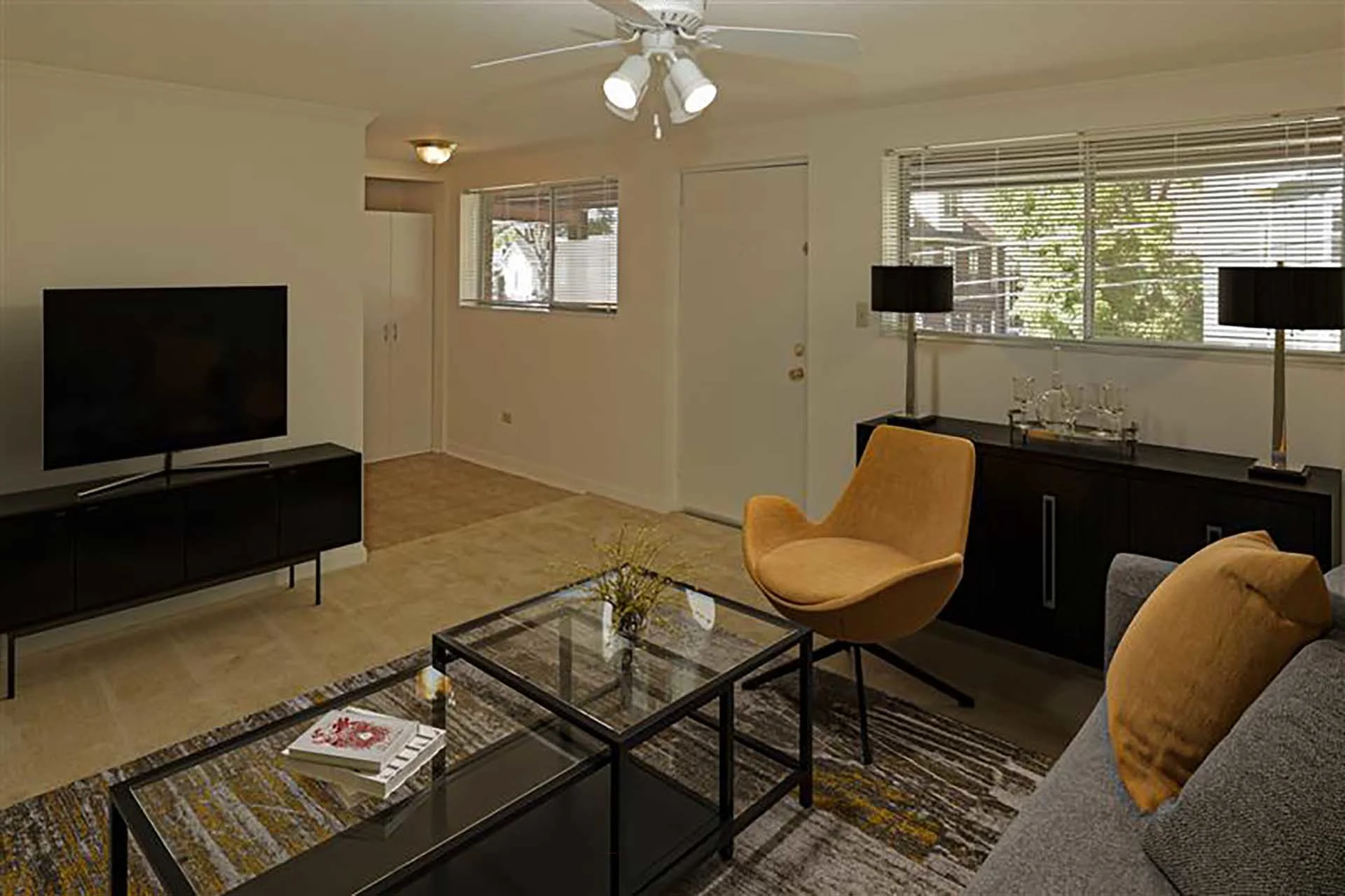 Furnished living room