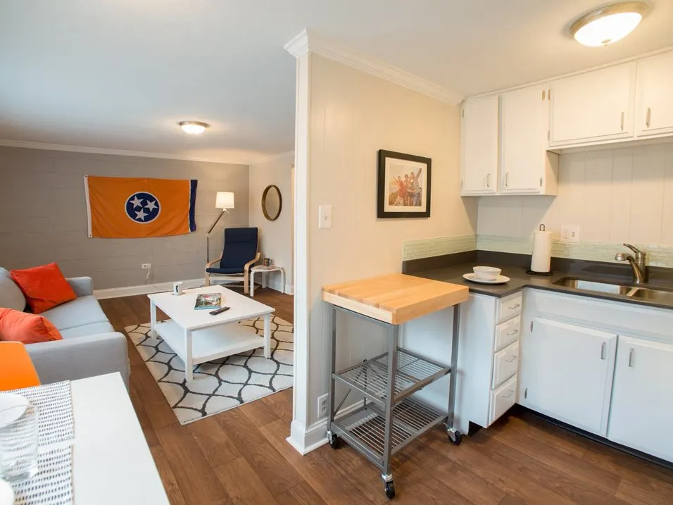 Furnished living room and kitchen