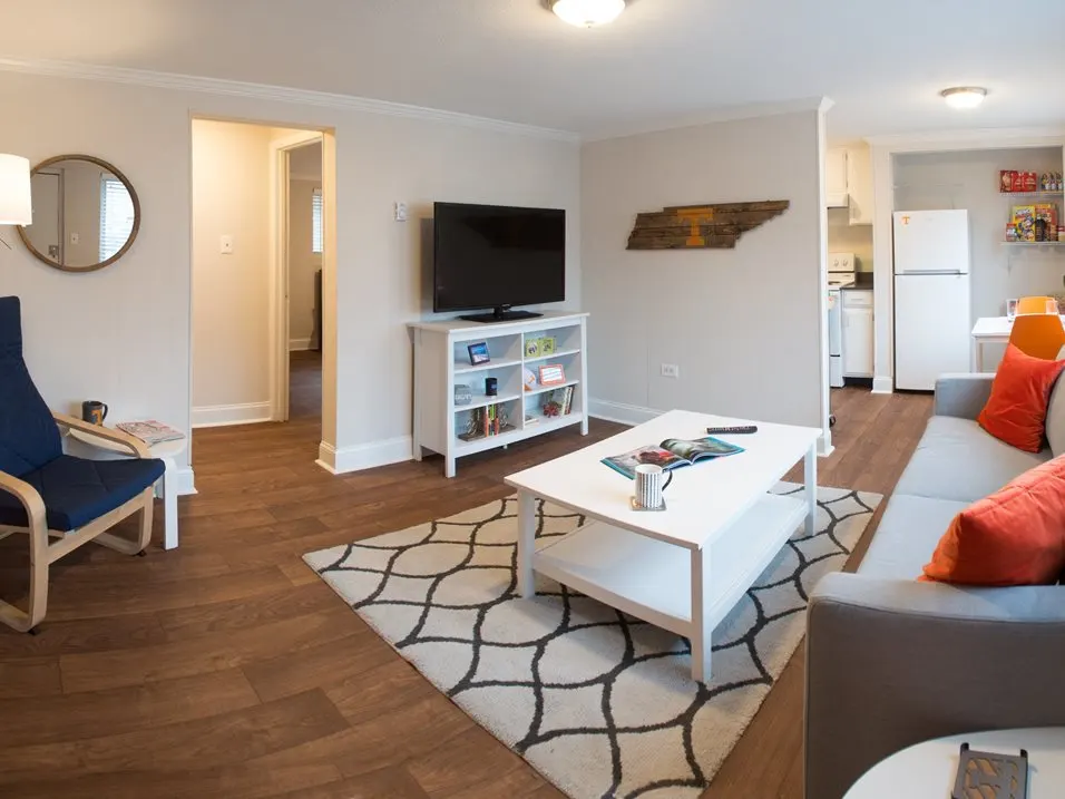 Furnished living room