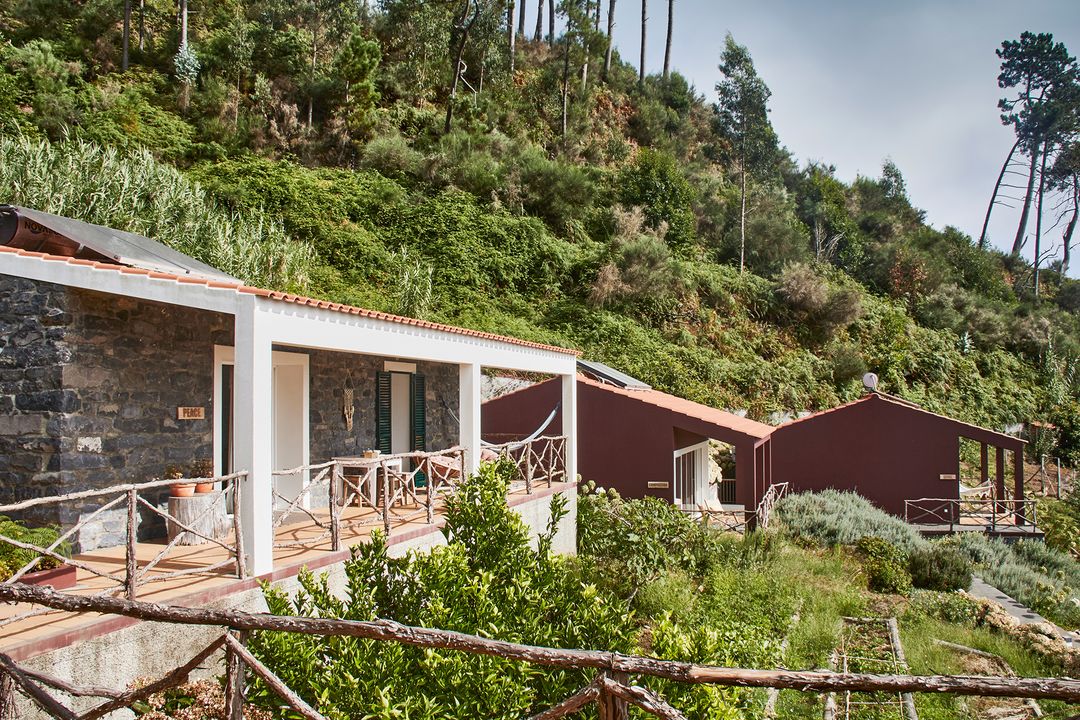 Lodge terrace with ocean views