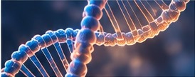 DNA visualization