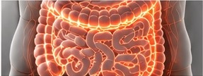 Digestive system visualization