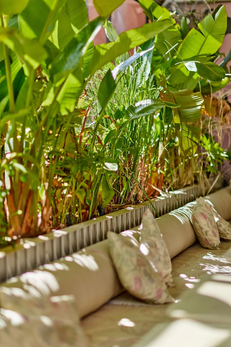 Banquette seating lined with palms