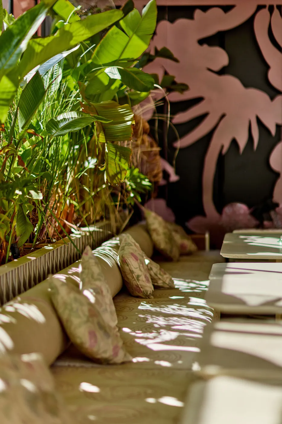 Sunlit banquette lined with plants