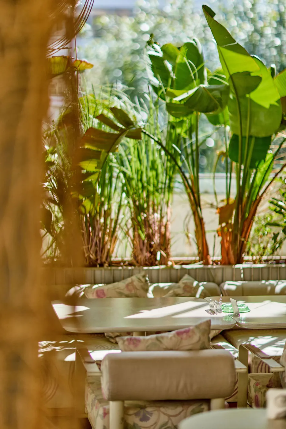 Tables framed by banana leaves