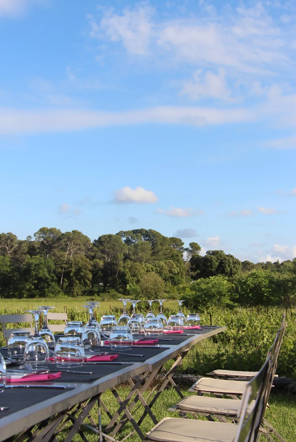 Grande tablée dressée en plein air face aux vignes et aux pins pour une réception privée, Du Tout Cuit traiteur à Montpellier