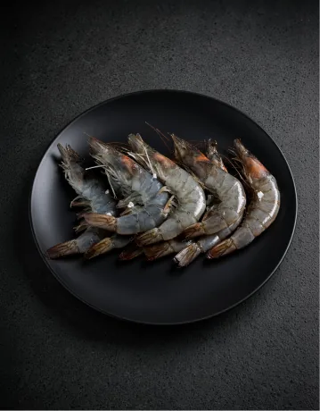 Shrimp