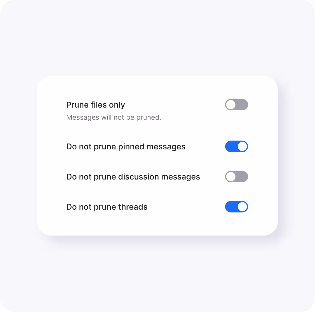 Settings panel with four prune options and toggle switches, showing prune files only turned off, do not prune pinned messages and threads turned on, and do not prune discussion messages turned off.