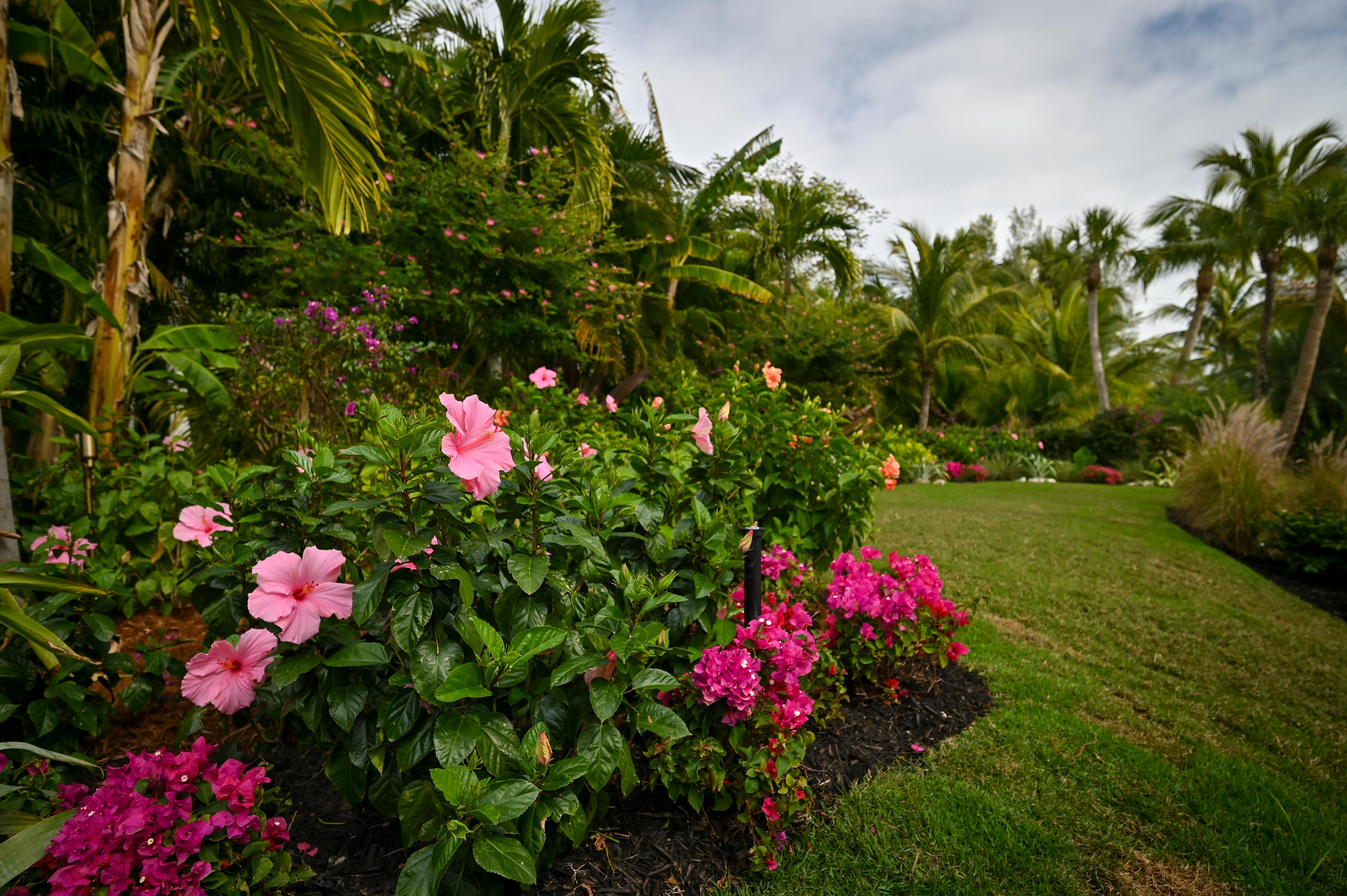 Tropical gardens in bloom