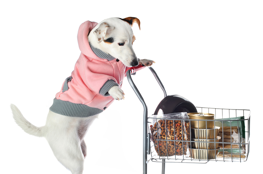 7 Reasons Your Ecommerce Store Needs A Blog