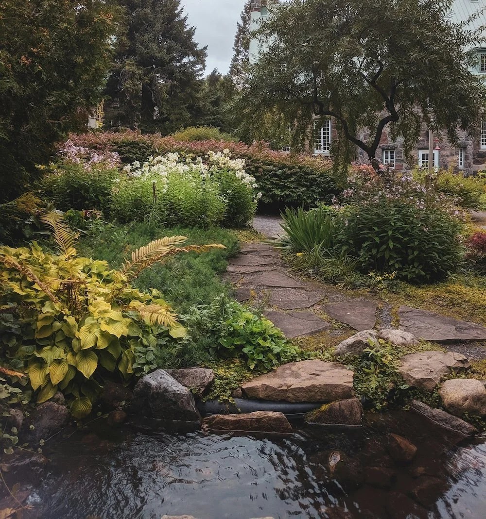Stone garden path through mature summer plantings