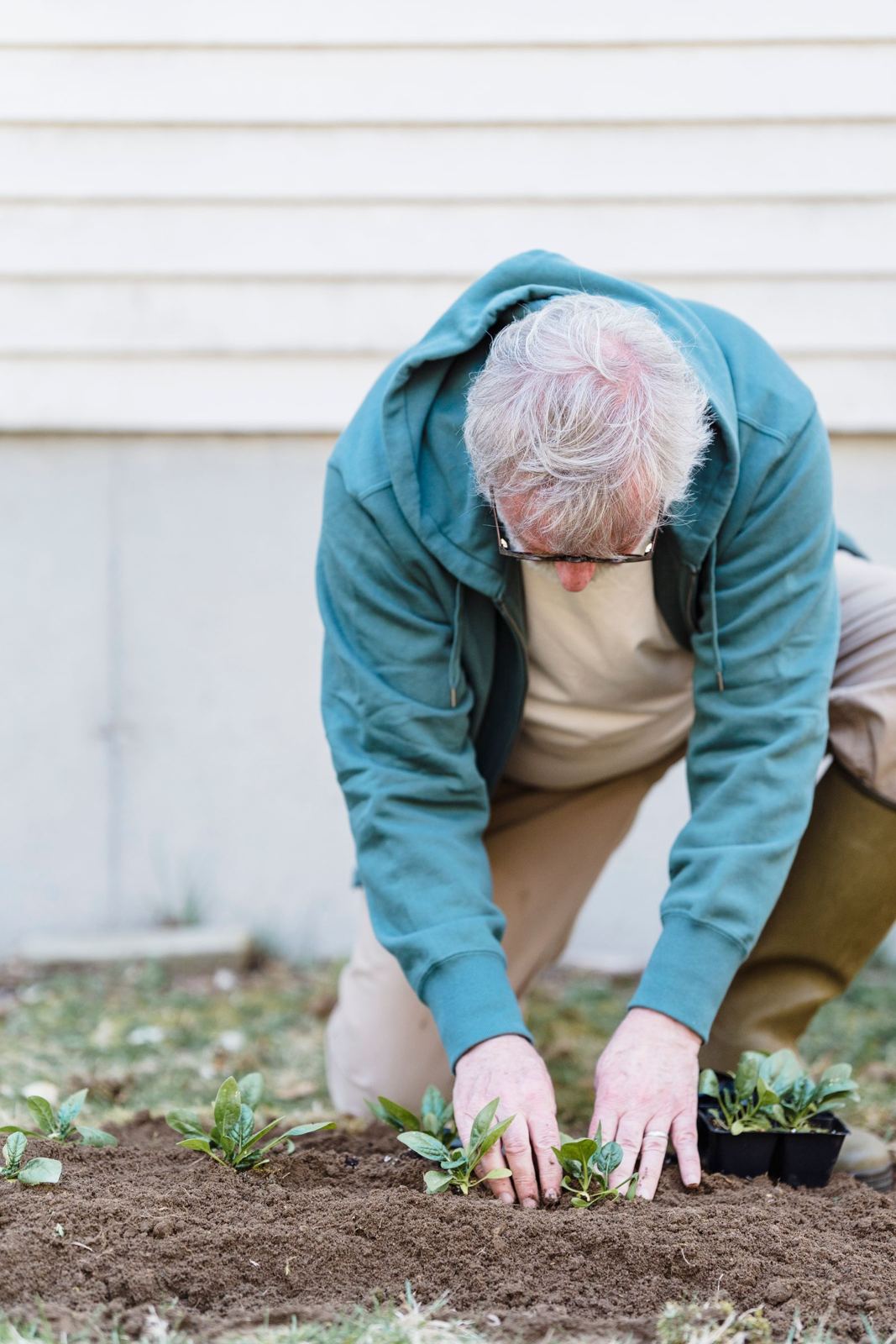 Man kneeling in a garden planting seedlings