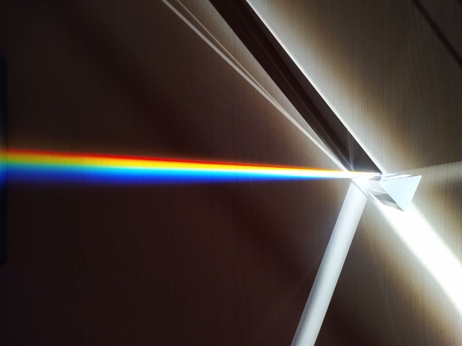 LGBTQIA+ Affirming Care