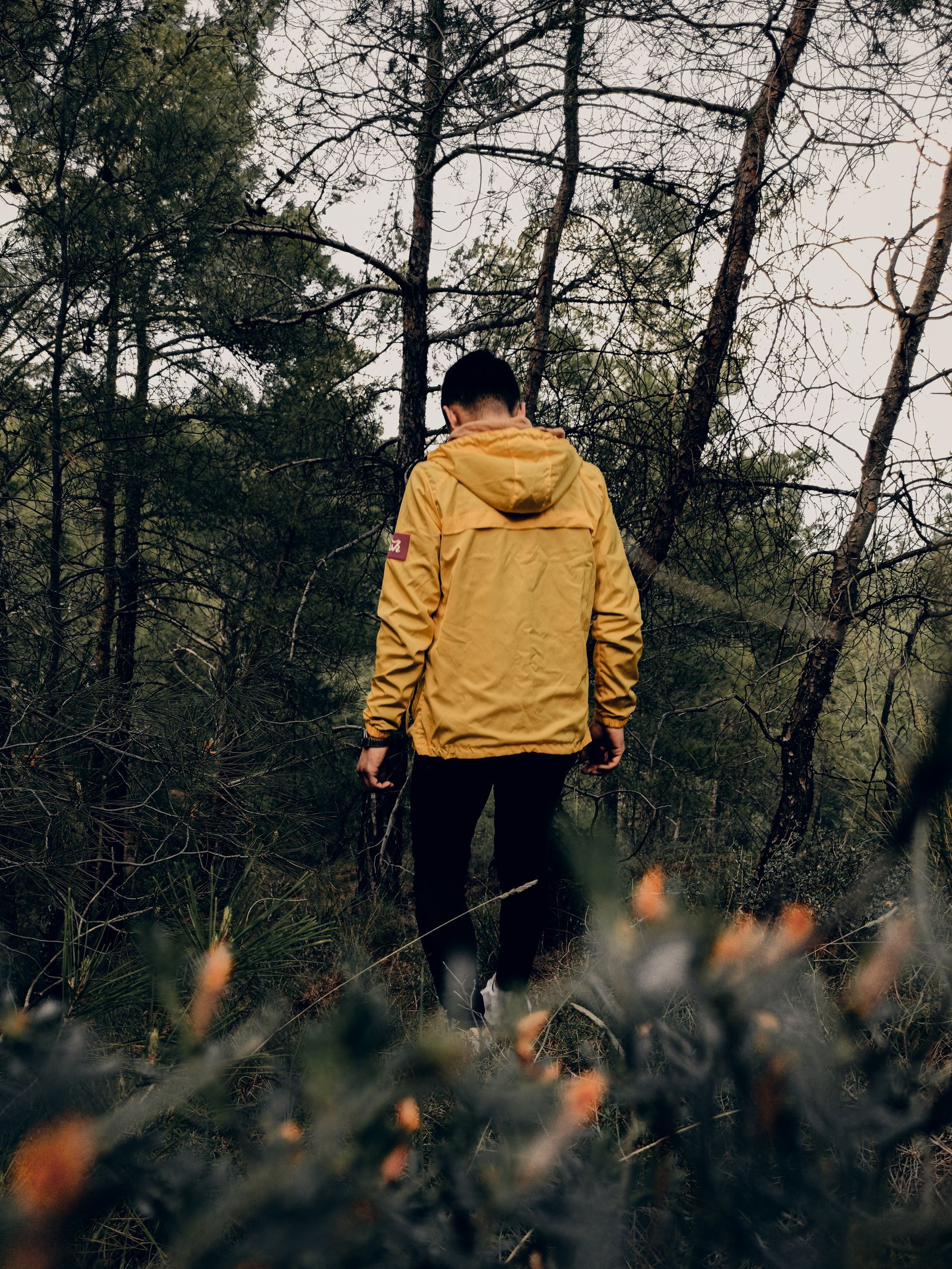 Trauma & PTSD