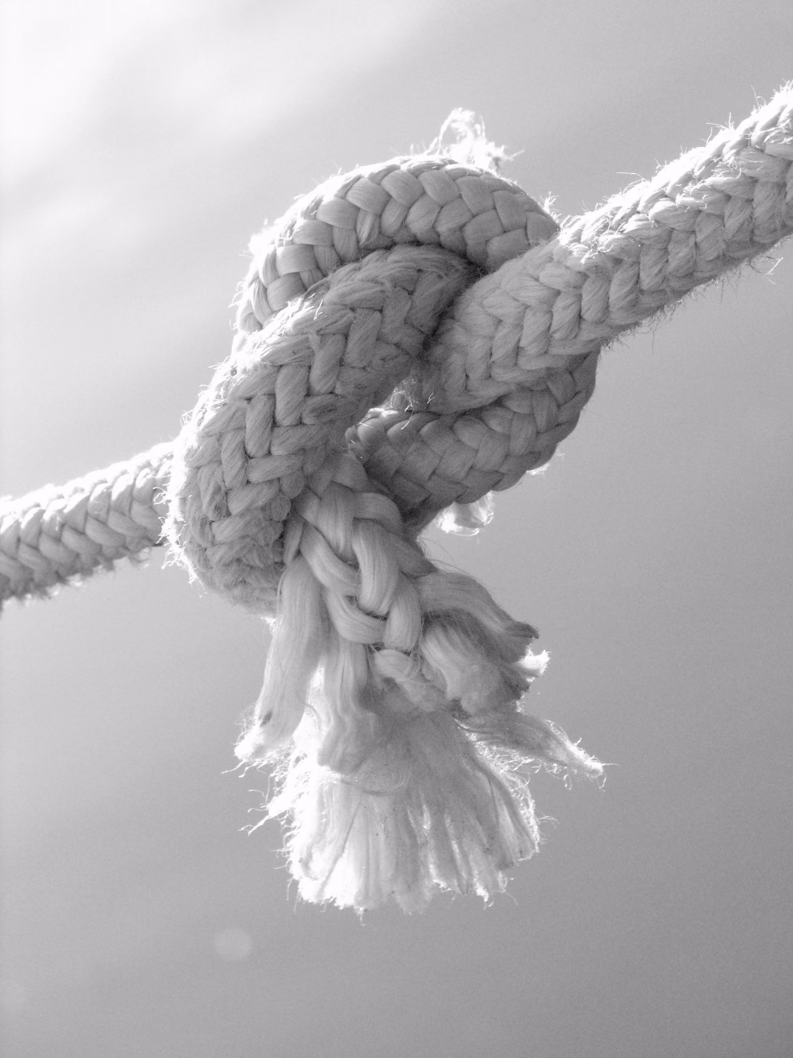 Rope tied in a knot