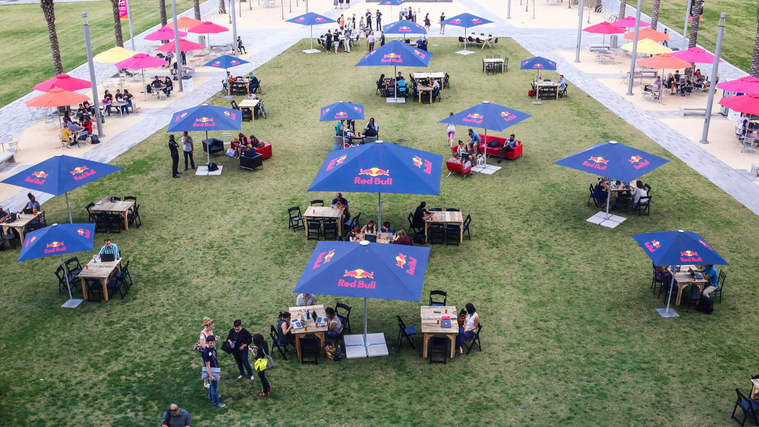 Red Bull Field Marketing, Central Florida