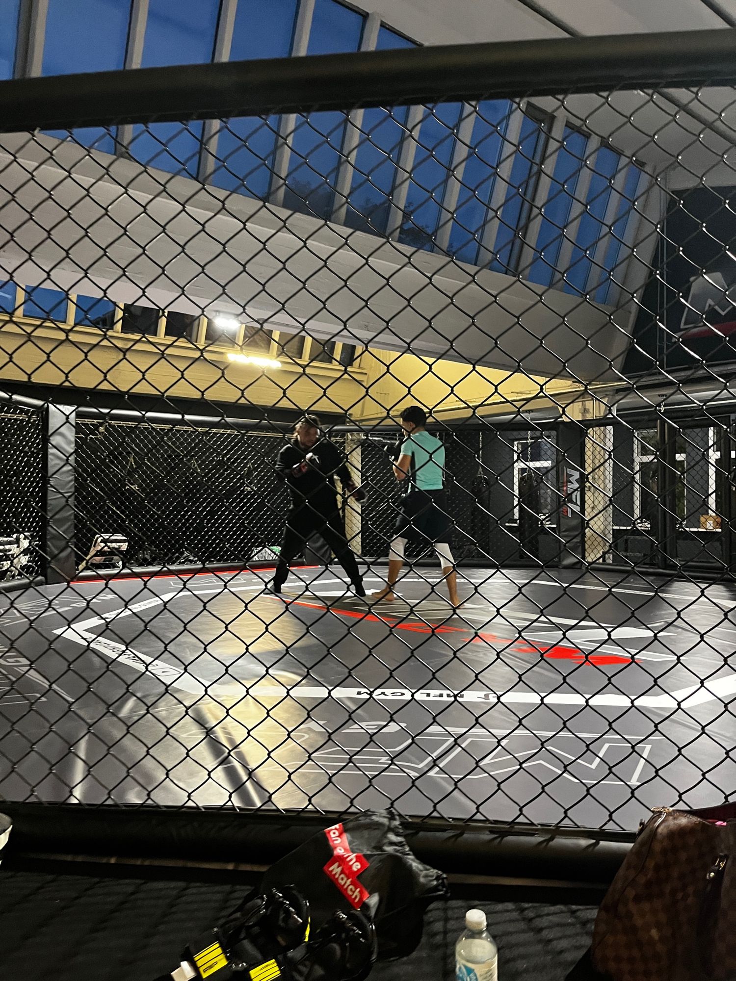 Pratzentraining im Käfig des MFL GYM