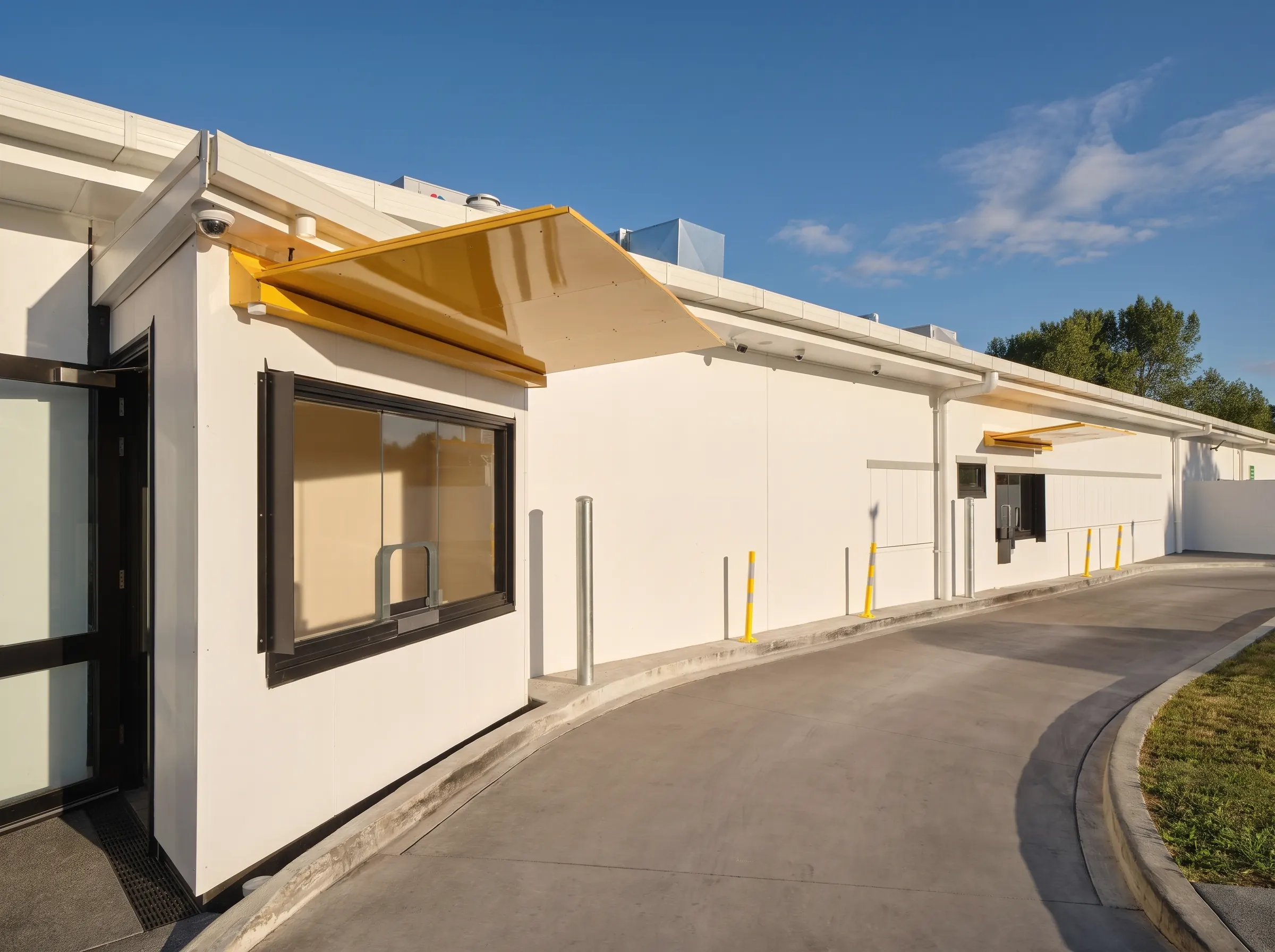 Canopies: an introduction