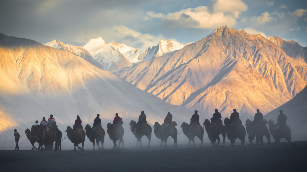 Image of Kashmiri people with their cattle and mountains in the background