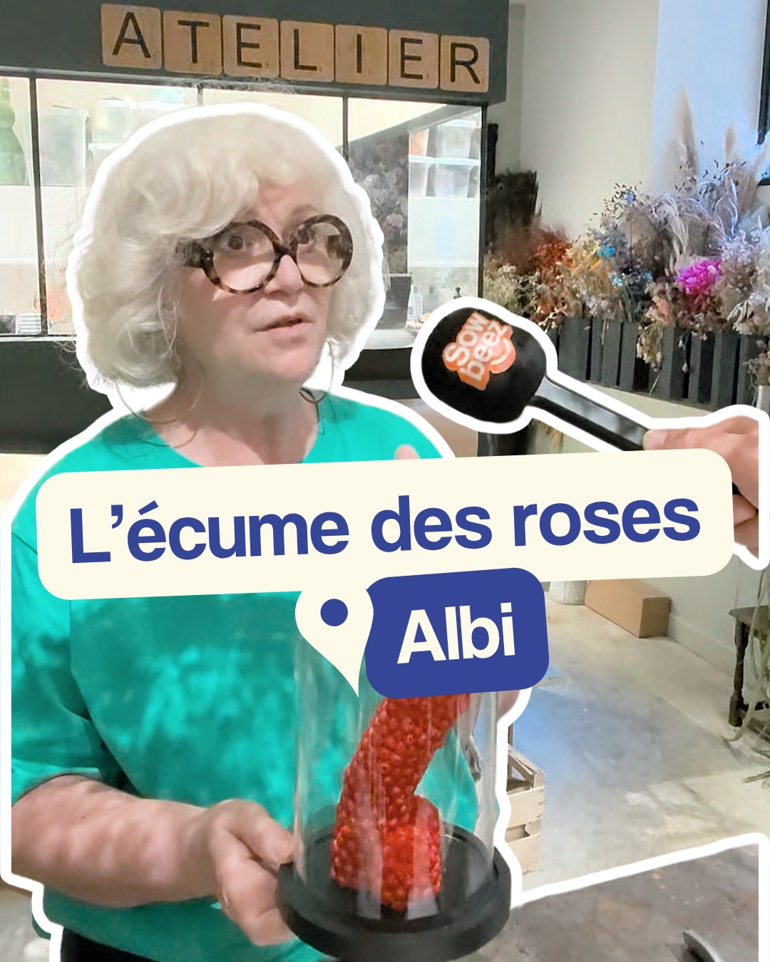 Interview L'écume des roses, Albi