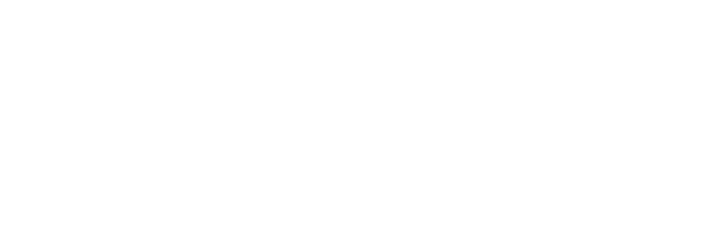 LeanIX