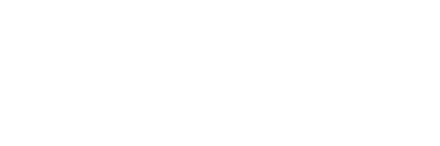 LeanIX