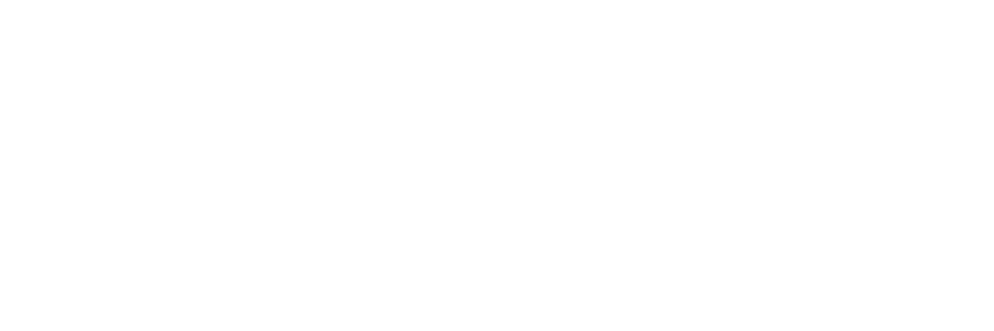 Sword Health