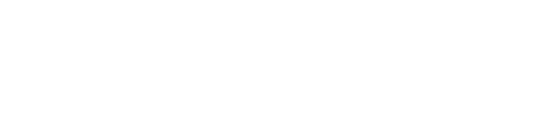 Synera