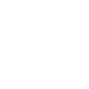 Google+ icon