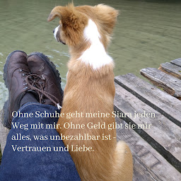 Profilbild von Markus Lambertz