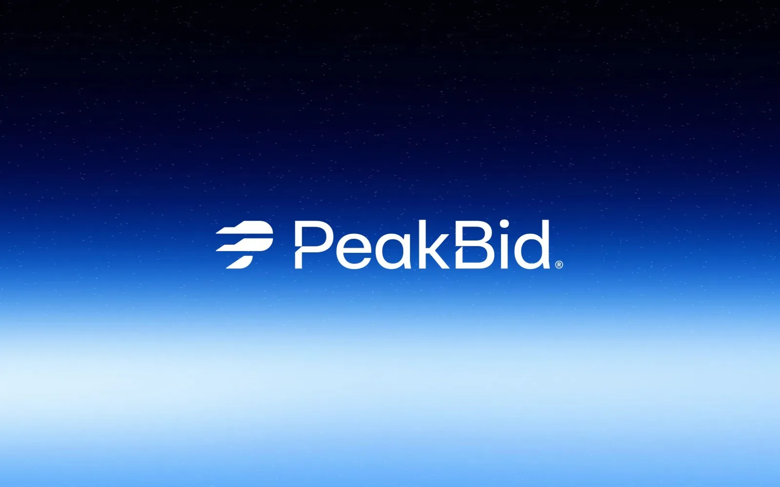 Branding PeakBid