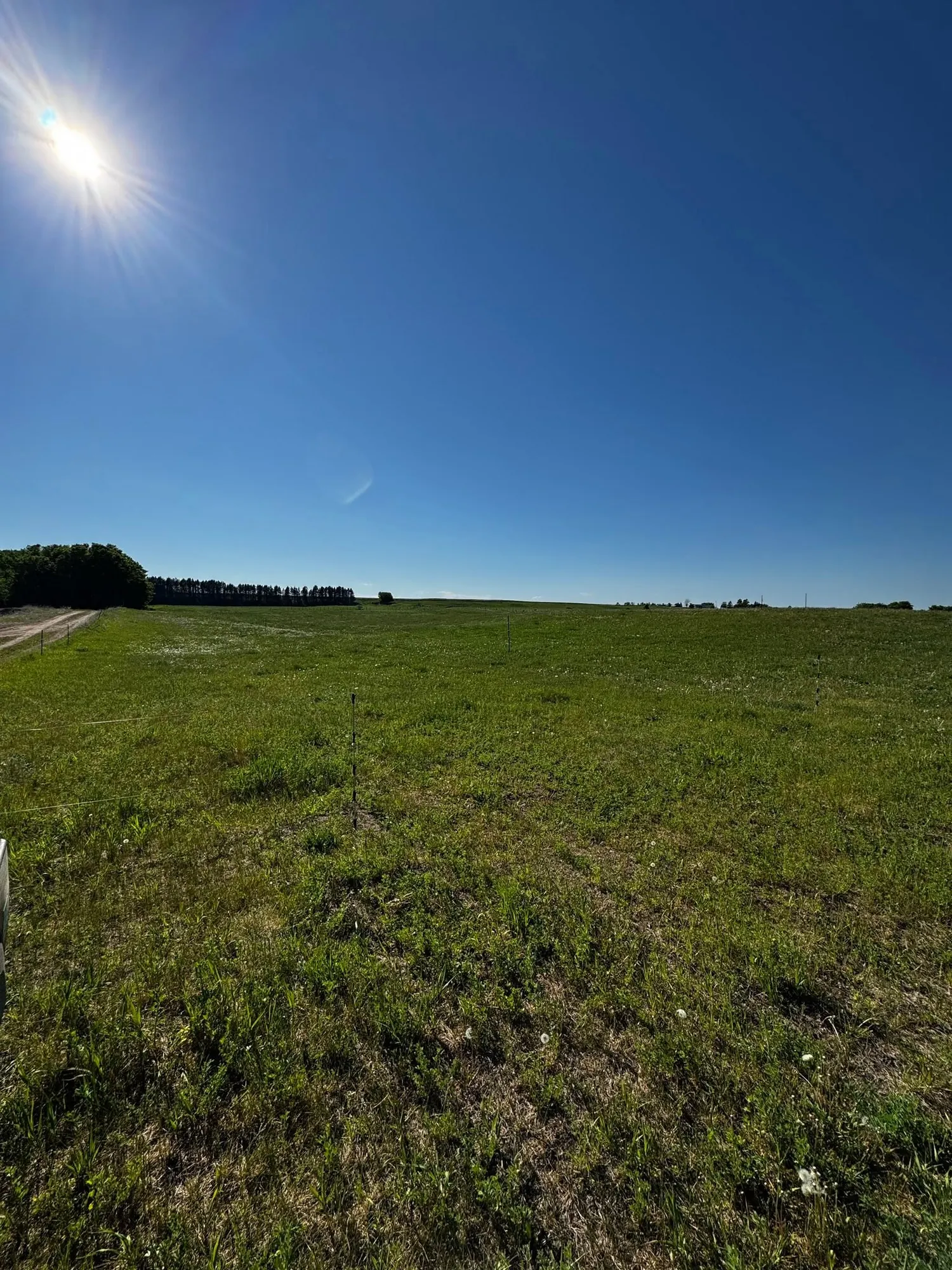 Open pasture under a blue sky at Jorasz Family Ranch in Bark River, Michigan