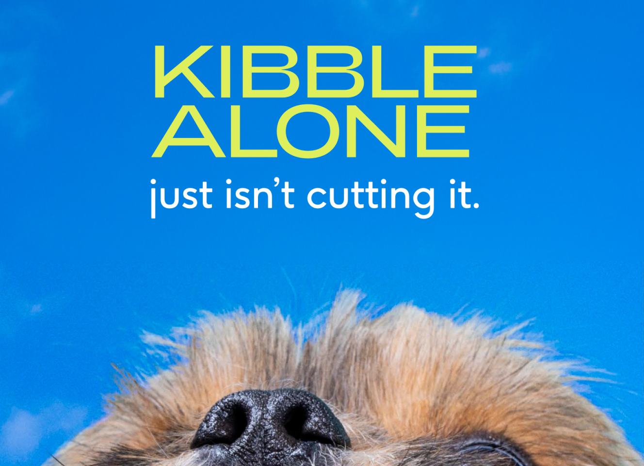 Native Pet Amazon listing images