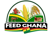 Feed Ghana